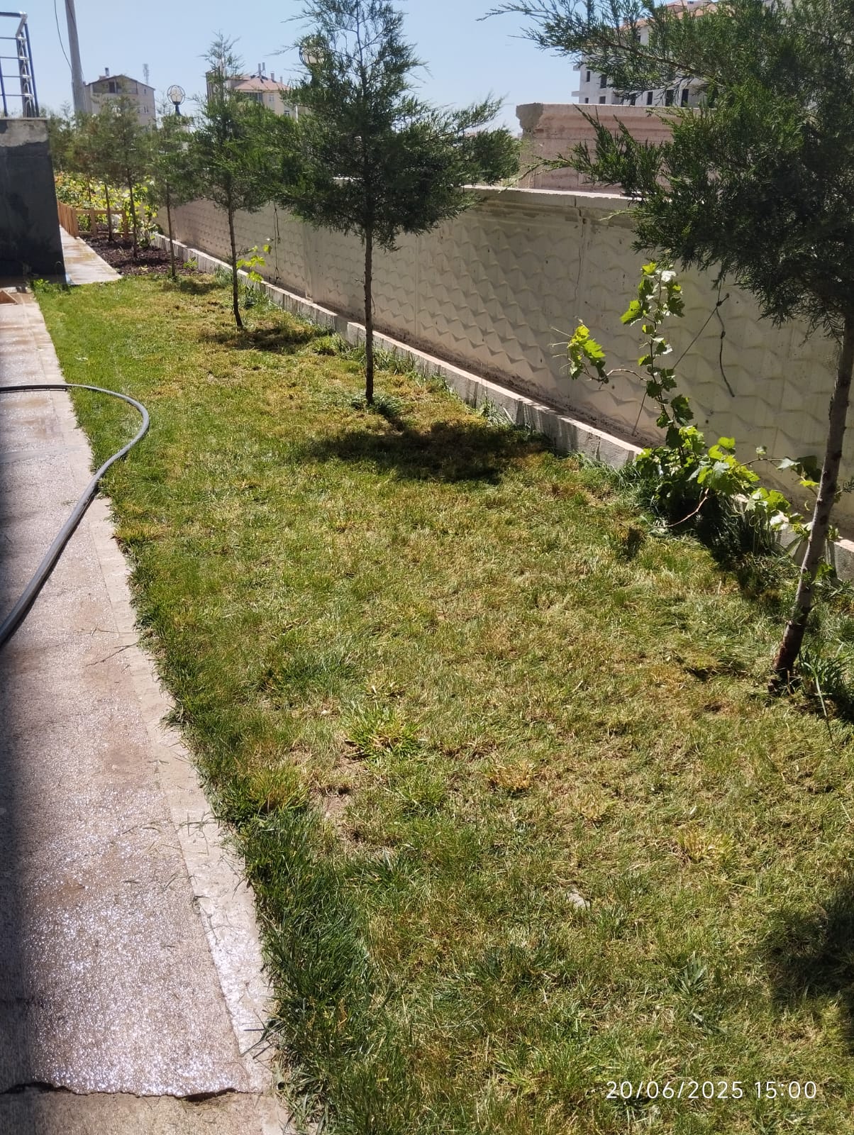 Ceylan Bina Yönetimi